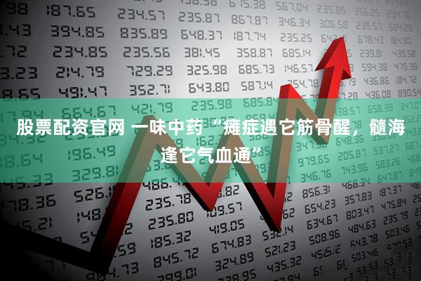 股票配资官网 一味中药 “瘫症遇它筋骨醒，髓海逢它气血通”